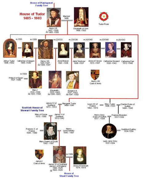 mary stuart and elizabeth tudor family tree|royal family tree henry viii to present.